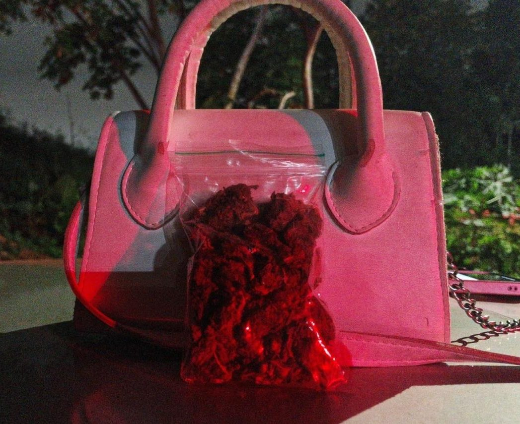 NO ESCURINHO DA RUA - Polícia Ambiental apreende maconha durante patrulhamento no bairro Areal, em Porto Velho

